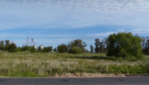 Imagen 4 de 6 de Terreno En Venta En Olivera