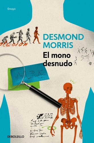 Mono Desnudo, El.
