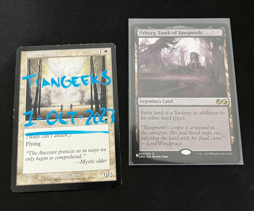 Urborg, Tomb Of Yawgmoth (#254/254) Nm