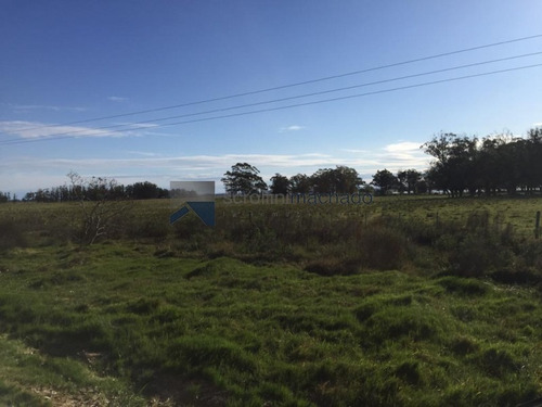 Campo En Venta - Ref: 1700