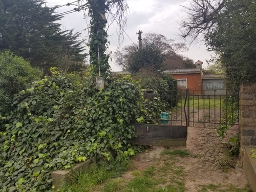 Imagen 5 de 14 de Venta Chacra San Fuentes 3692, 3 Hectáreas!!!