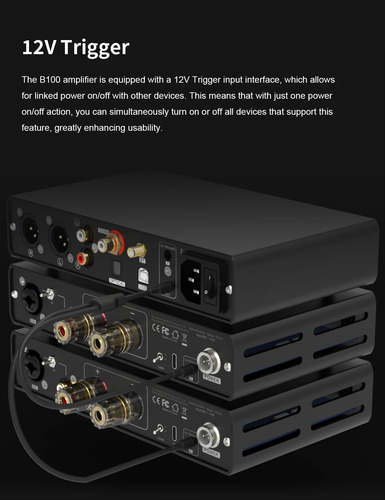 Topping B100 Mono Pure Power Amplifier Output Power 4 100w
