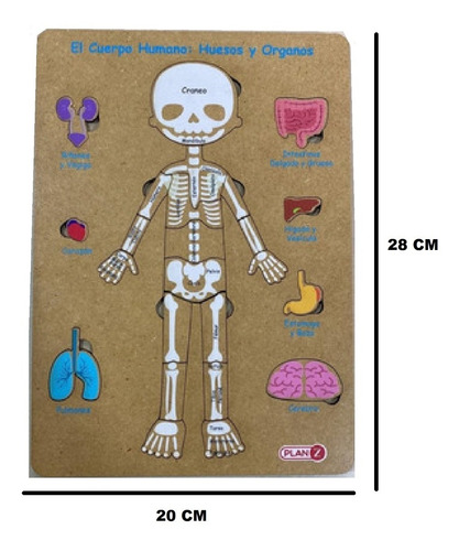 Imagen 3 de 5 de Juego Didactico Encastre Madera Cuerpo Humano Infantil Planz