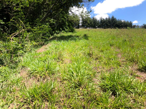 Br Aproveite E Pague Seu Terreno Em 4 Anos