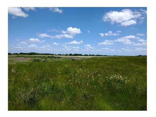Campo En Venta En Chascomús - 183 Hectáreas Agrícola