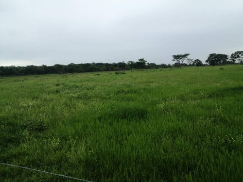 Imagen 8 de 17 de De Oportunidad Vendo Finca En El Cantón 283 Hectáreas Ah
