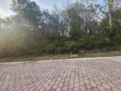 Venta Lote Gladiola 34 Cerca De Acceso Con Vistas Panorámicas Y Todos Los Servicios Inlcuyendo Proyecto En Fracc Rancho San Diego Ixtapan De La Sal Edomex