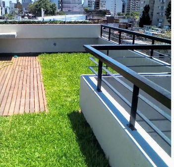 Semillas Césped 5 Kg Siempre Verde 4 Estaciones Premium