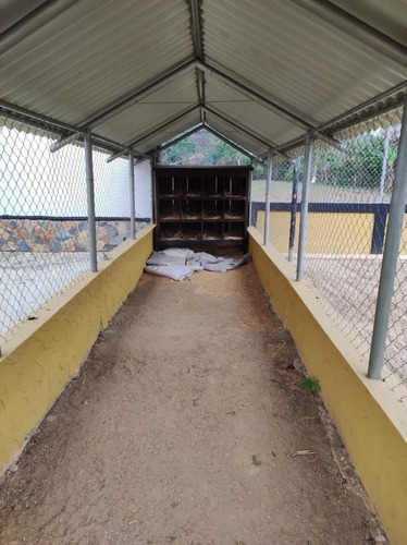 Imagen 19 de 25 de Finca En Bejuma Carabobo