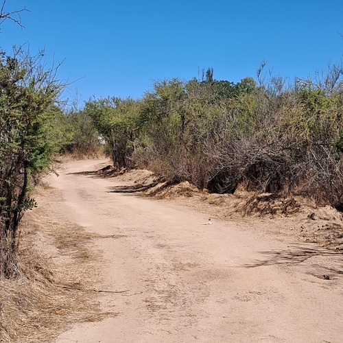 Fundo Sector Los Pinos 105.000 Mt2 Divididos En 19 Parcelas