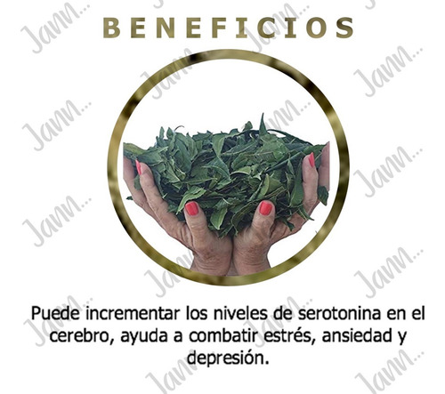 Neem Planta Medicinal 100% Pura, 500g.