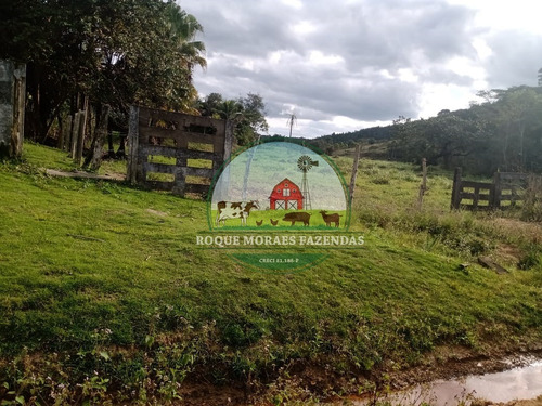 Imagem 13 de 20 de Fazenda À Venda Com 80 Alqueires Paulista No Vale Do Ribeira-sp Ref.: 0858