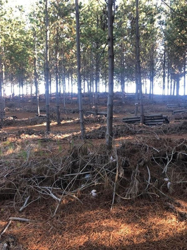 Terreno En Navidad, Localidad De Matanzas