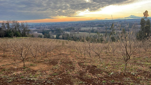 Agrícola En Venta En Gorbea