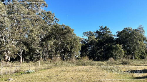 Imagen 13 de 21 de Barrio Privado Aires De Hudson - Lote En Venta