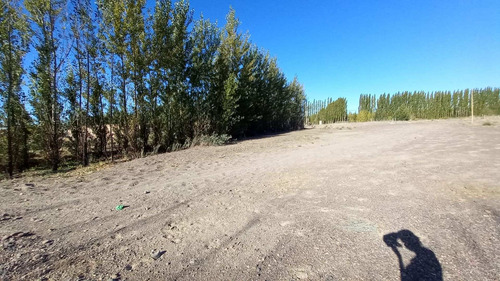 Imagen 12 de 30 de Chacra En Venta Con Casa Y Galpón Cervantes