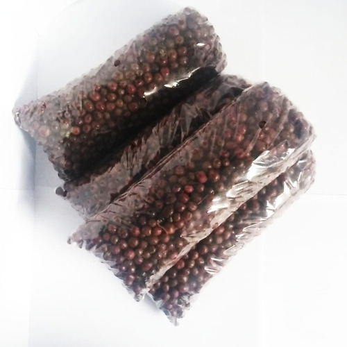 Semillas De Eugenia X 4 Kilos Para Jardineras Y Cercas Vivas