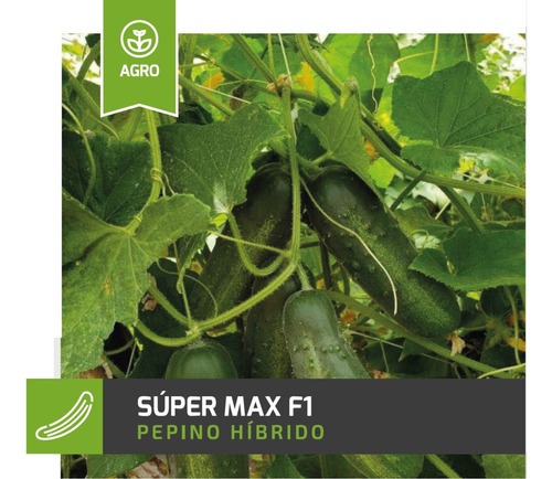 Semilla Pepino Super Max F1 ( Pepinillo ) 1000 Semillas