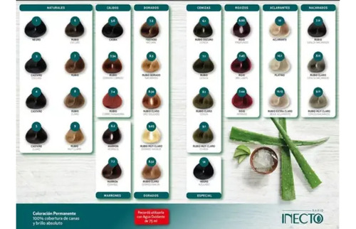 Pack X6 Tintura Inecto Pomo 50g Coloración Permanente Marrón Español 7.2