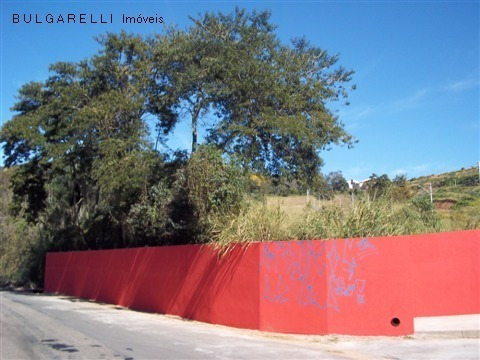 Imagem 2 de 6 de Terreno - Te00219 - 1583398