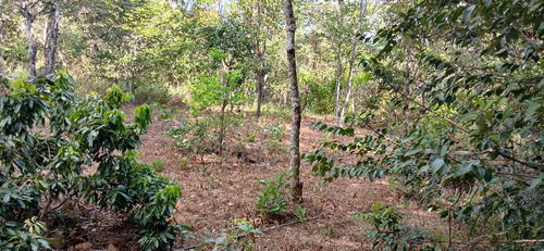 Lote Na Corumba4 5000 Mts Com Casa 3 Quartos 2 Banheiros Sal