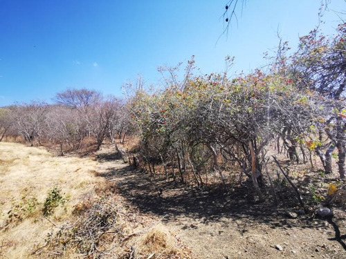 Imagen 5 de 10 de Terreno Industrial En Venta Plan De Mulumi