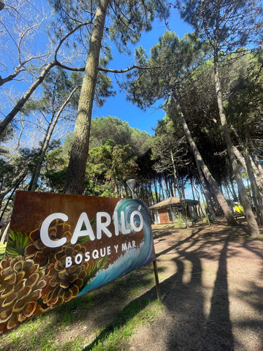 Departamentos En Carilo Frente Al Mar