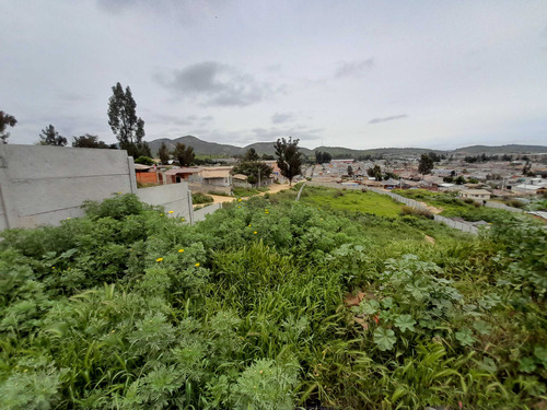 Terreno Con 11 Lotes Con Roles Propios (100748)
