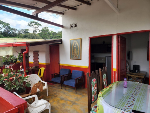 Imagen 4 de 20 de Venta De Finca Cafetera En Jericó Antioquia