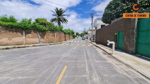 Imagem 1 de 5 de Terreno Em Abrantes - Te00563 - 71035578