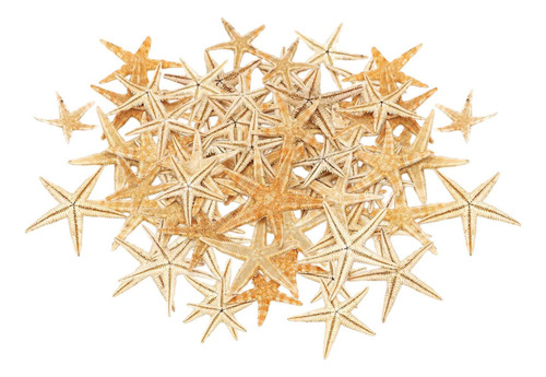 Estrella De Mar Natural Decoración For 1-5cm 100 Piezas