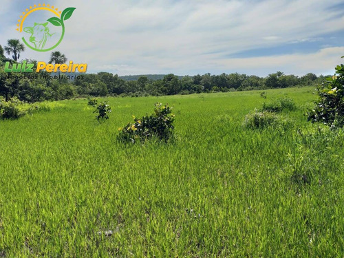 Imagem 1 de 9 de Fazenda À Venda Em Recursolândia -t0 - 3998 Hectares (dupla Aaptidão) - 1592