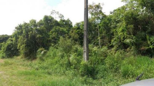Imagem 1 de 5 de Terreno De 268 Metros Próximo Da Rodovia - 5051 | Npc