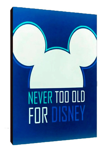 Cuadros Poster Disney Mickey Donald Pluto S 15x20 Fmy (11)