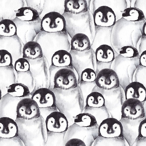 Papel Tapiz Autoadhesivo 18 X 236  Diseño Pingüino Animal