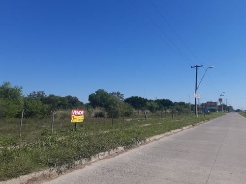Imagen 7 de 9 de Terrenazos En Autovía Chaco-corrientes!!