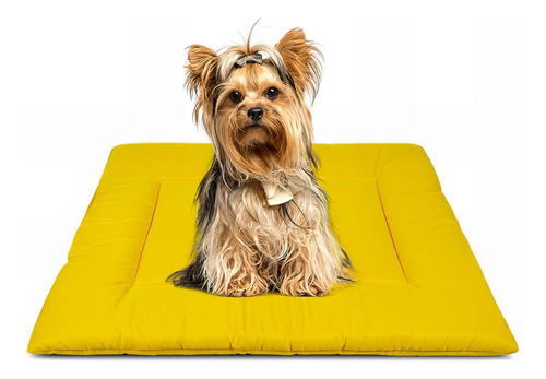 Colchonete Cama De Cachorro Caminha Pet 80x60 Cores