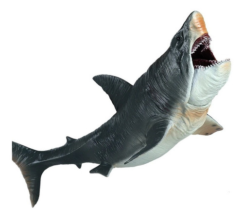 Megalodon. Tiburon. 27 Cms. Cenozoico. Pintado A Mano. Oenux