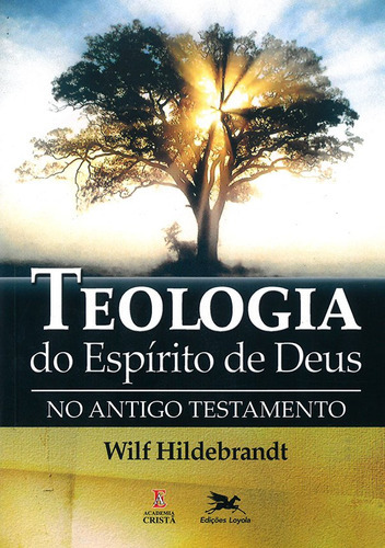 Teologia Do Espírito De Deus No Antigo Testamento, De Wilf Hildebrandt. Editora Edições Loyola, Capa Mole Em Português