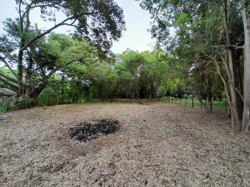 Vendo Pequeño Bosque Sobre El Río Corriente En La Ciudad De Esquina!!!!