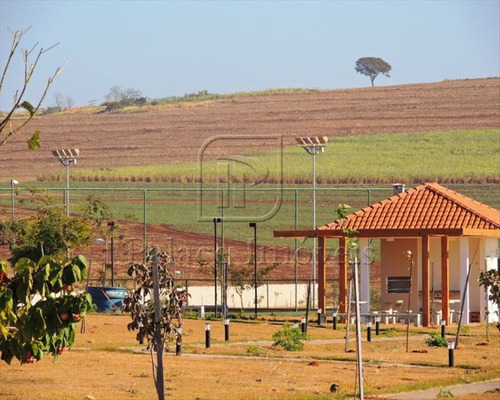 Imagem 18 de 19 de Terreno/lote À Venda, Vila Do Golfe - Ribeirão Preto/sp - 1869