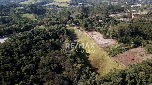 Imagem 8 de 10 de Terreno À Venda, 19176 M² Por R$ 2.870.000,00 - Mailasqui - São Roque/sp - Te0017