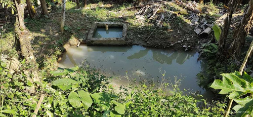 Imagem 12 de 14 de Miracatu/belo Sitio C/lago/casa//morar/plantar/ref:05235