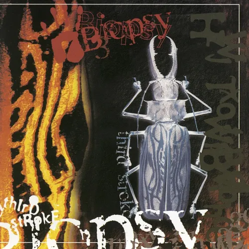 Cd: Third Stroke