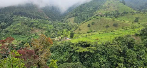Venta De Lote En Santa Bárbara Vereda Pitayó Lote No. 2a