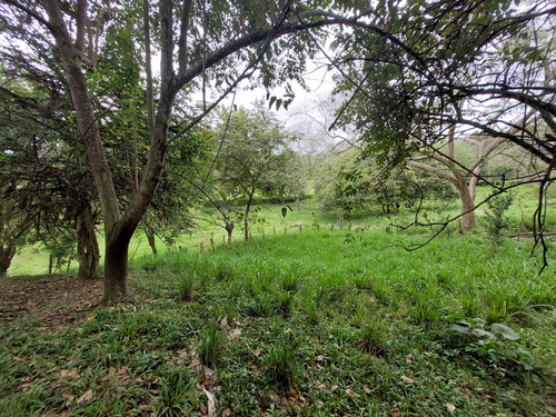 Venta De Lotes En Santa Fe De Antioquia Vereda El Espinal