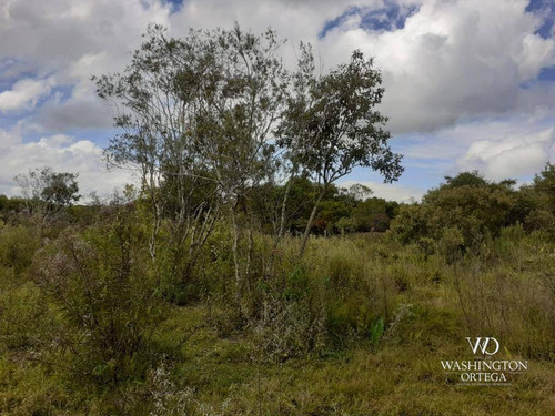 Imagem 20 de 21 de Chácara À Venda, 8500 M² Por R$ 260.000,00 - Zona Rural - São José Dos Pinhais/pr - Ch0060