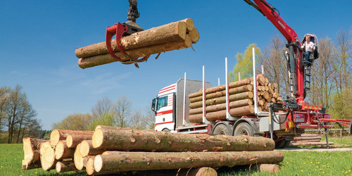 Palfinger Hidrogua Hidro Grua Forestal Chatarra - Sisler