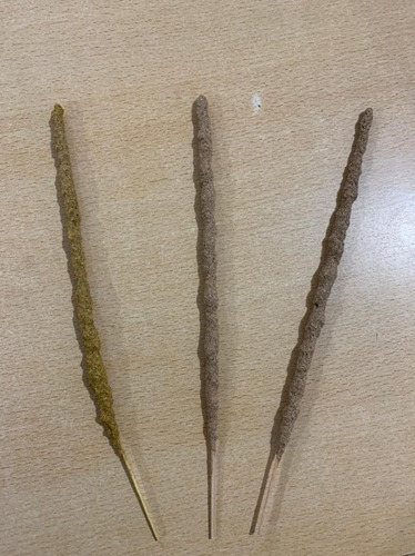 Sahumerios Triple Empaste X100u Fragancia Palo Santo