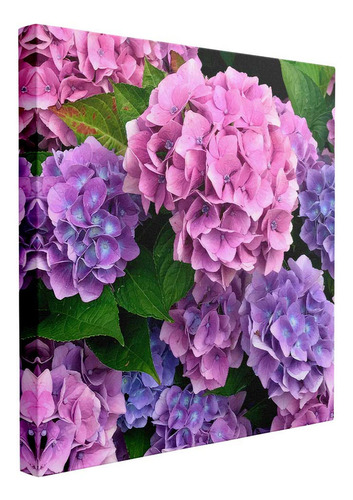 Cuadro Magia Rosa, Brillo En El Jardín 20x20